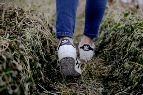 Marcher 100 km pour faire avancer la recherche sur l’autisme